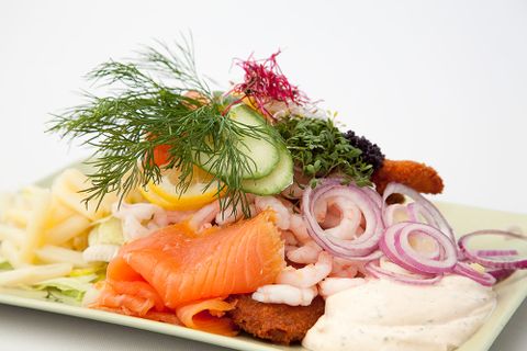 Stjerneskud