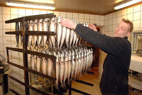 Rygning af fisk